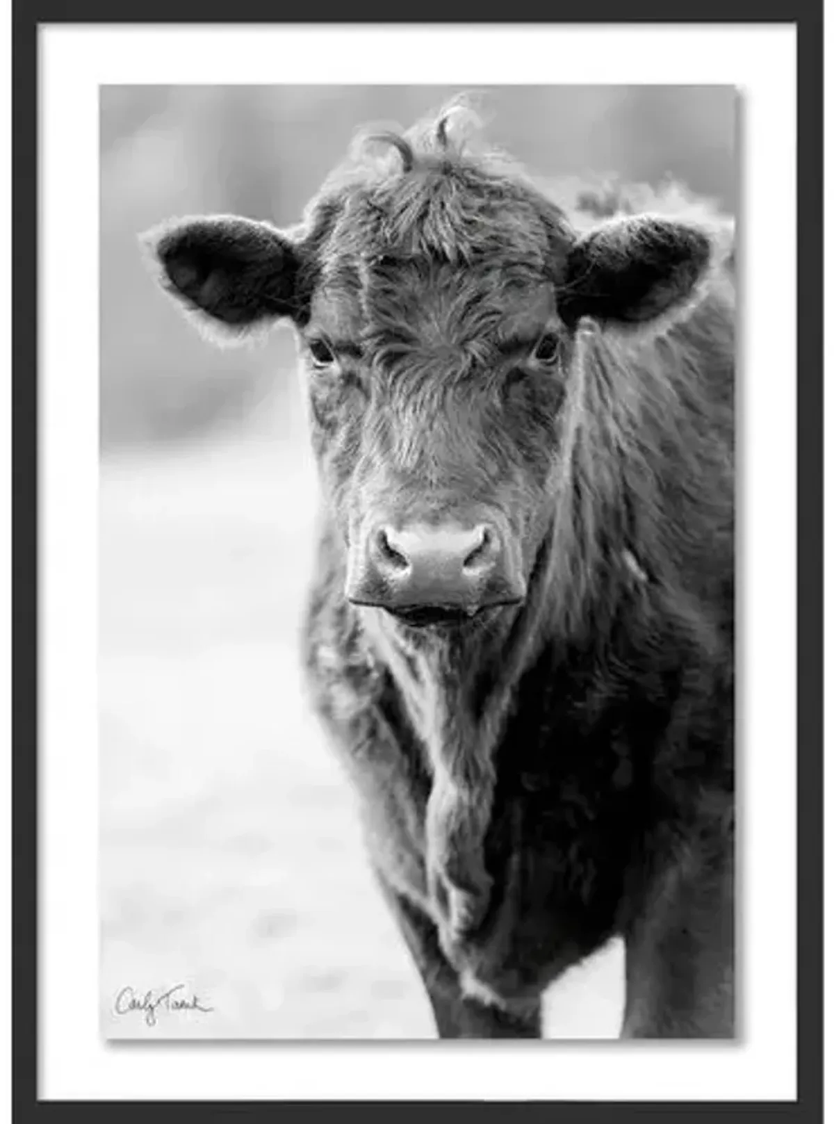 Carly Tabak - Cowboy Mendocino Photograph - Black