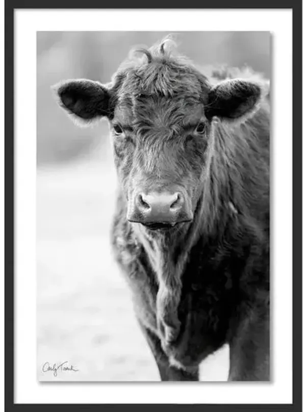 Carly Tabak - Cowboy Mendocino Photograph - Black