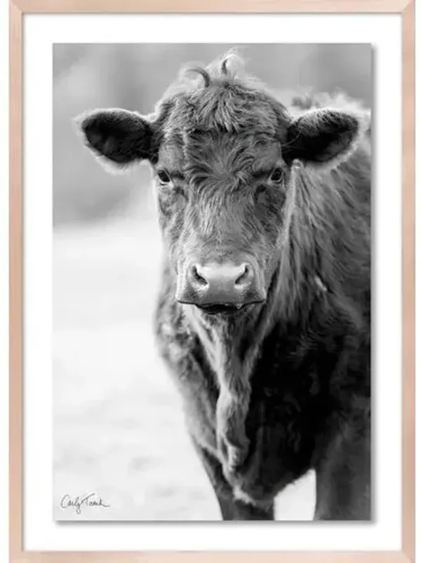 Carly Tabak - Cowboy Mendocino Photograph - Beige