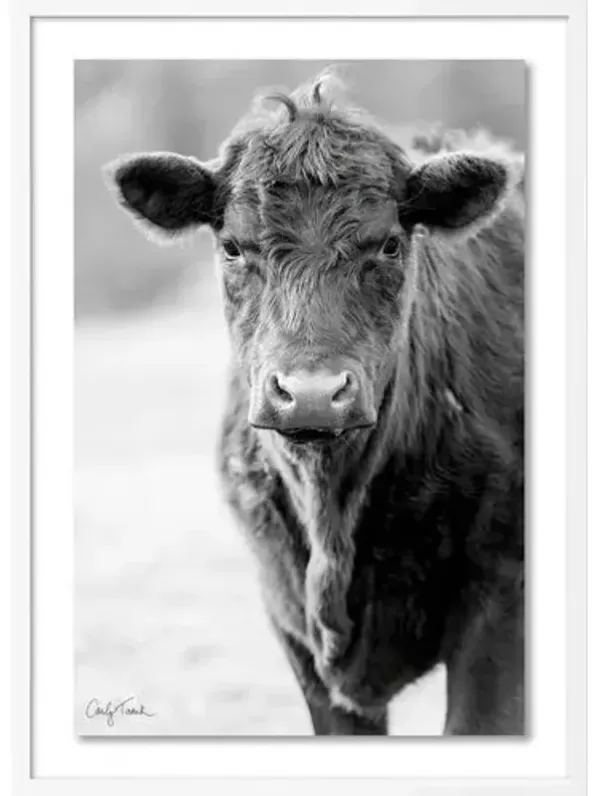 Carly Tabak - Cowboy Mendocino Photograph - White