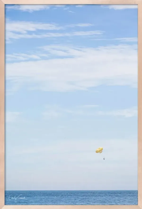 Carly Tabak - Flying High Photograph - Beige