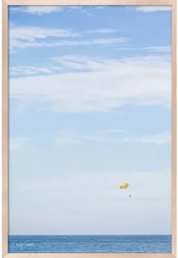 Carly Tabak - Flying High Photograph - Beige