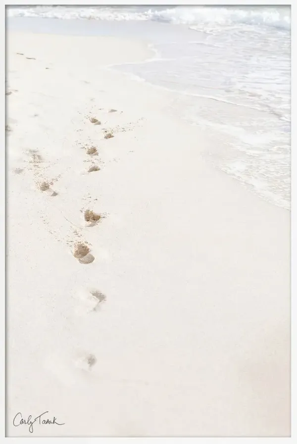 Carly Tabak - Footsteps to Paradise Photograph - White