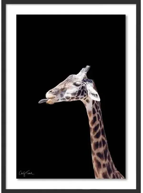 Carly Tabak - George California Photograph - Black