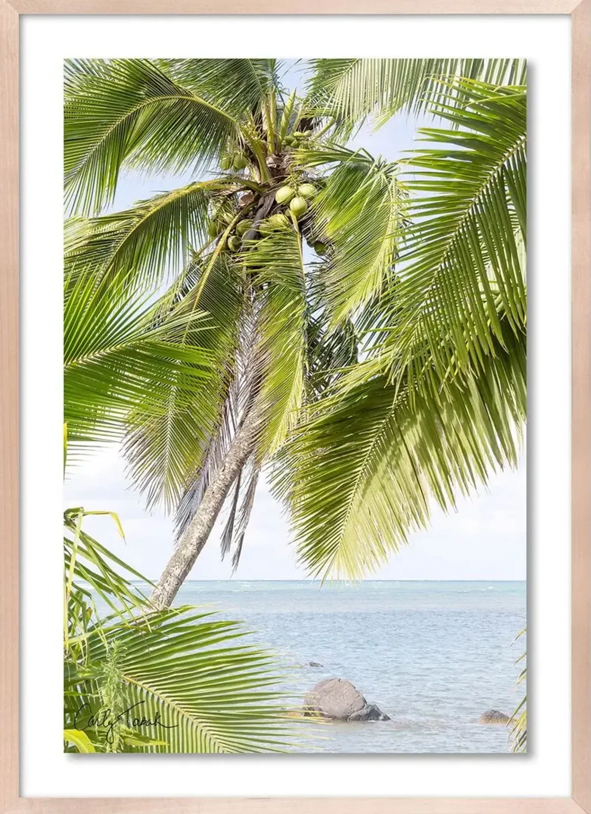 Carly Tabak - Lime and the Coconut Photograph - Beige