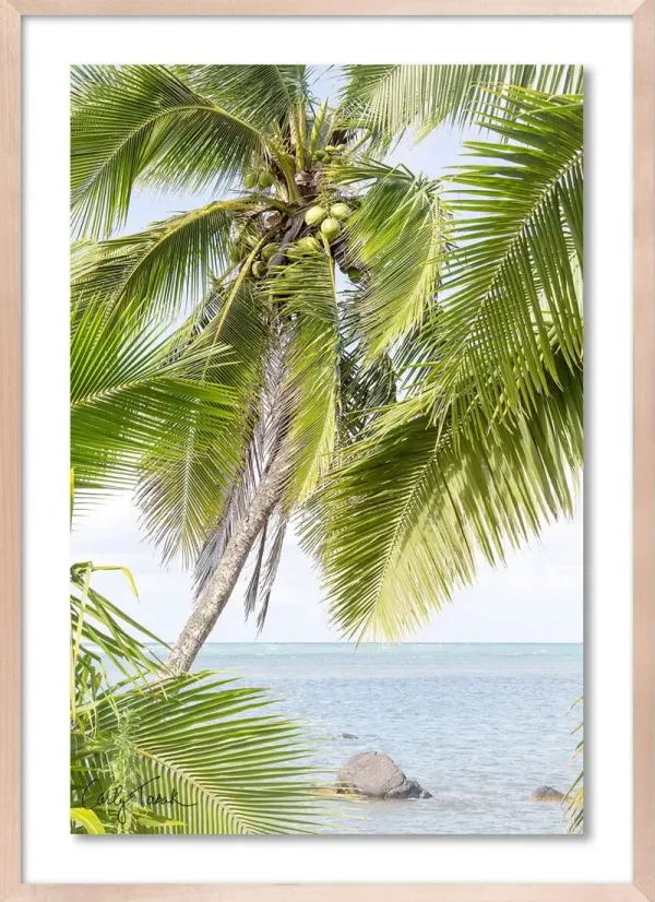 Carly Tabak - Lime and the Coconut Photograph - Beige