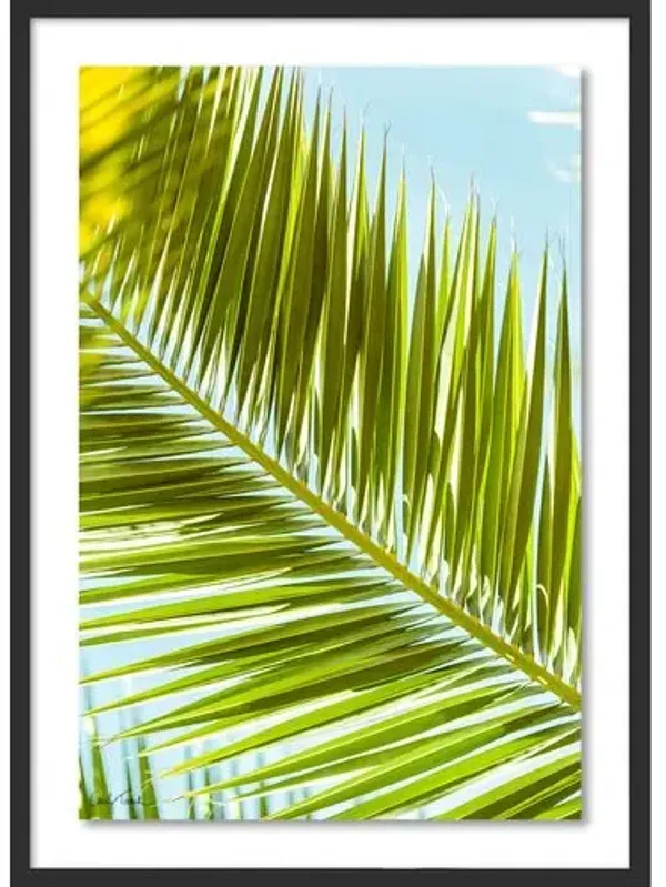 Carly Tabak - Palm 2 Southern California Photograph - Black