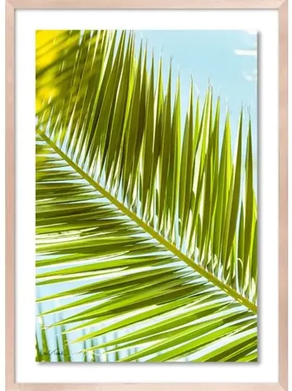 Carly Tabak - Palm 2 Southern California Photograph - Beige