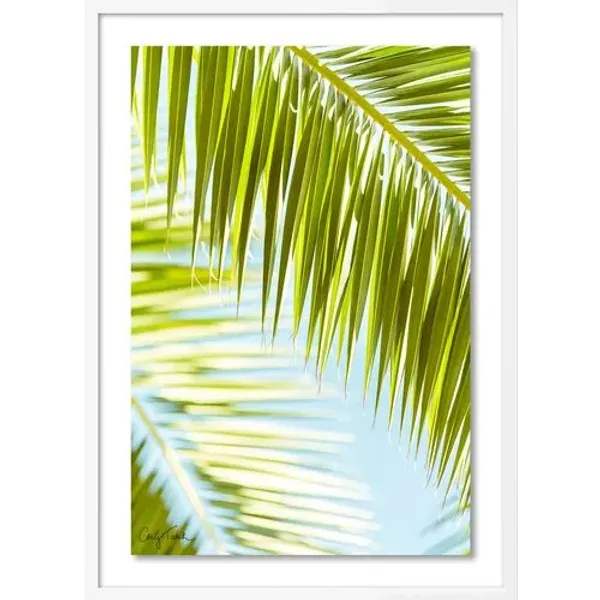 Carly Tabak - Palm 3 Southern California Photograph - White