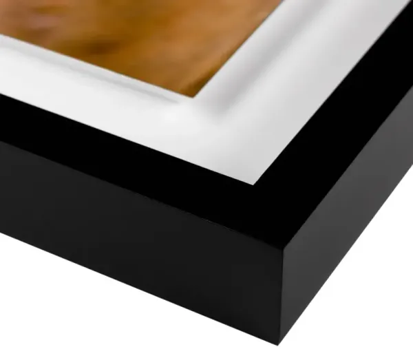 Carly Tabak - Palmer California Photograph - Black