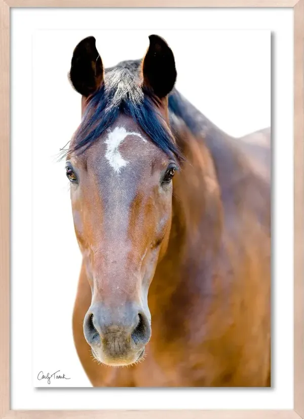 Carly Tabak - Palmer California Photograph - Beige