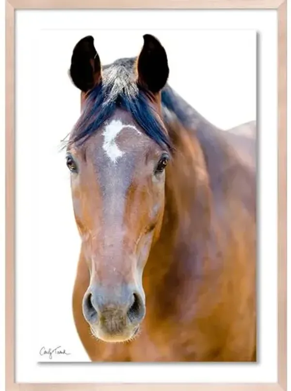 Carly Tabak - Palmer California Photograph - Beige