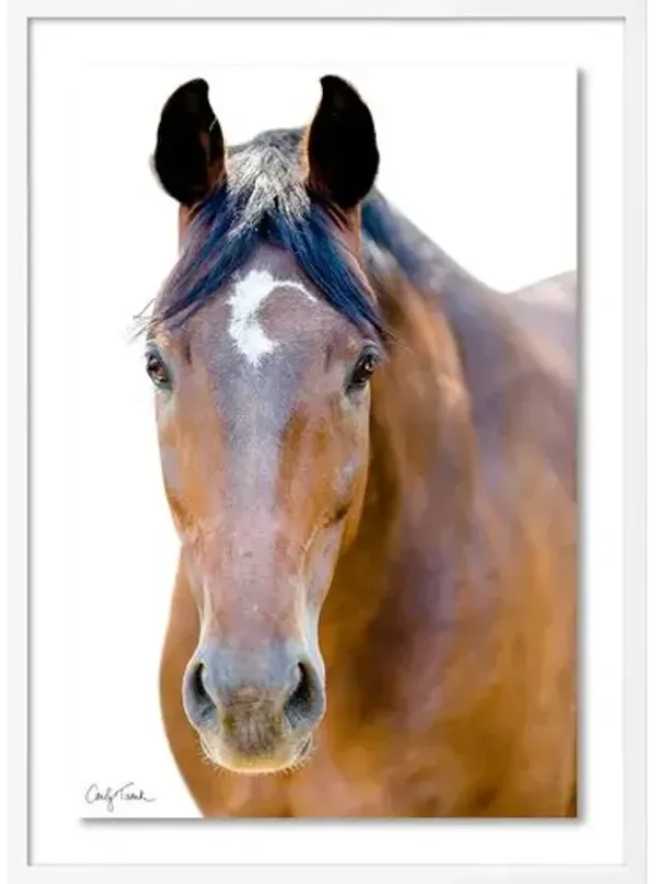 Carly Tabak - Palmer California Photograph - White