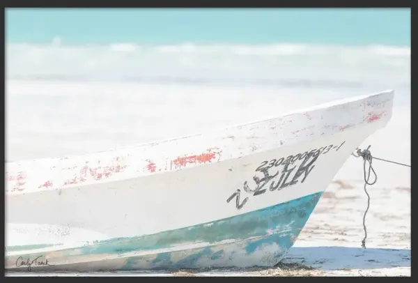 Carly Tabak - Shipwreck Mexico Photograph - Black