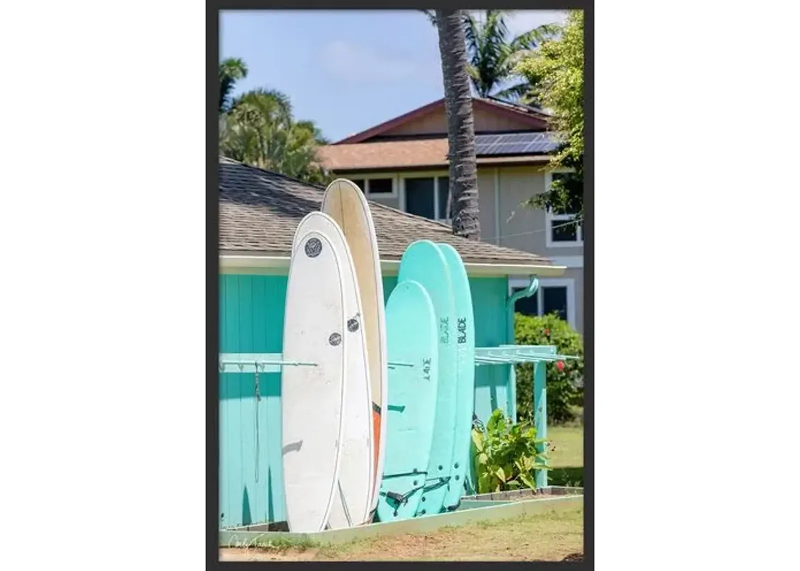 Carly Tabak - Surfboards Hawaii - Black