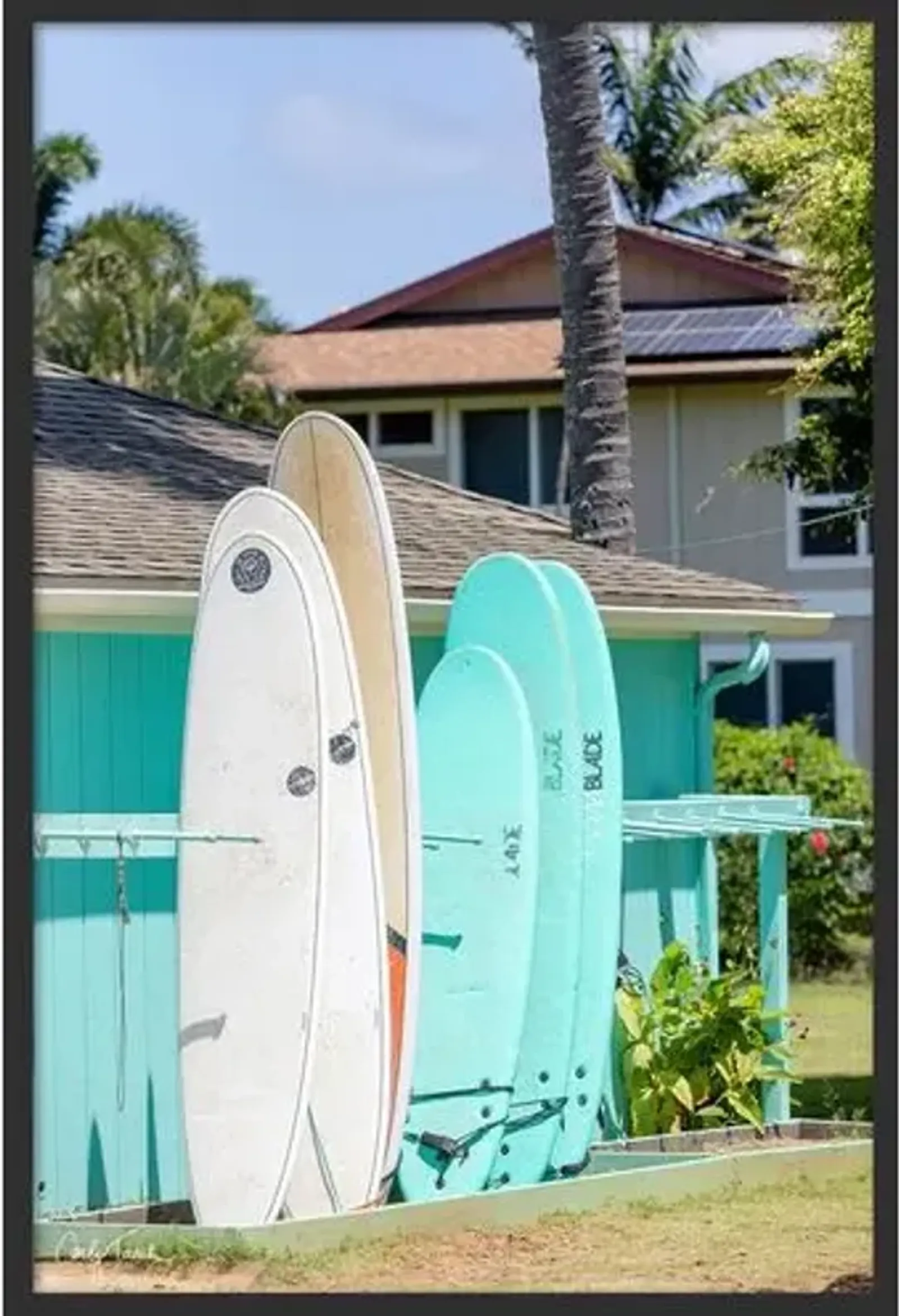 Carly Tabak - Surfboards Hawaii - Black