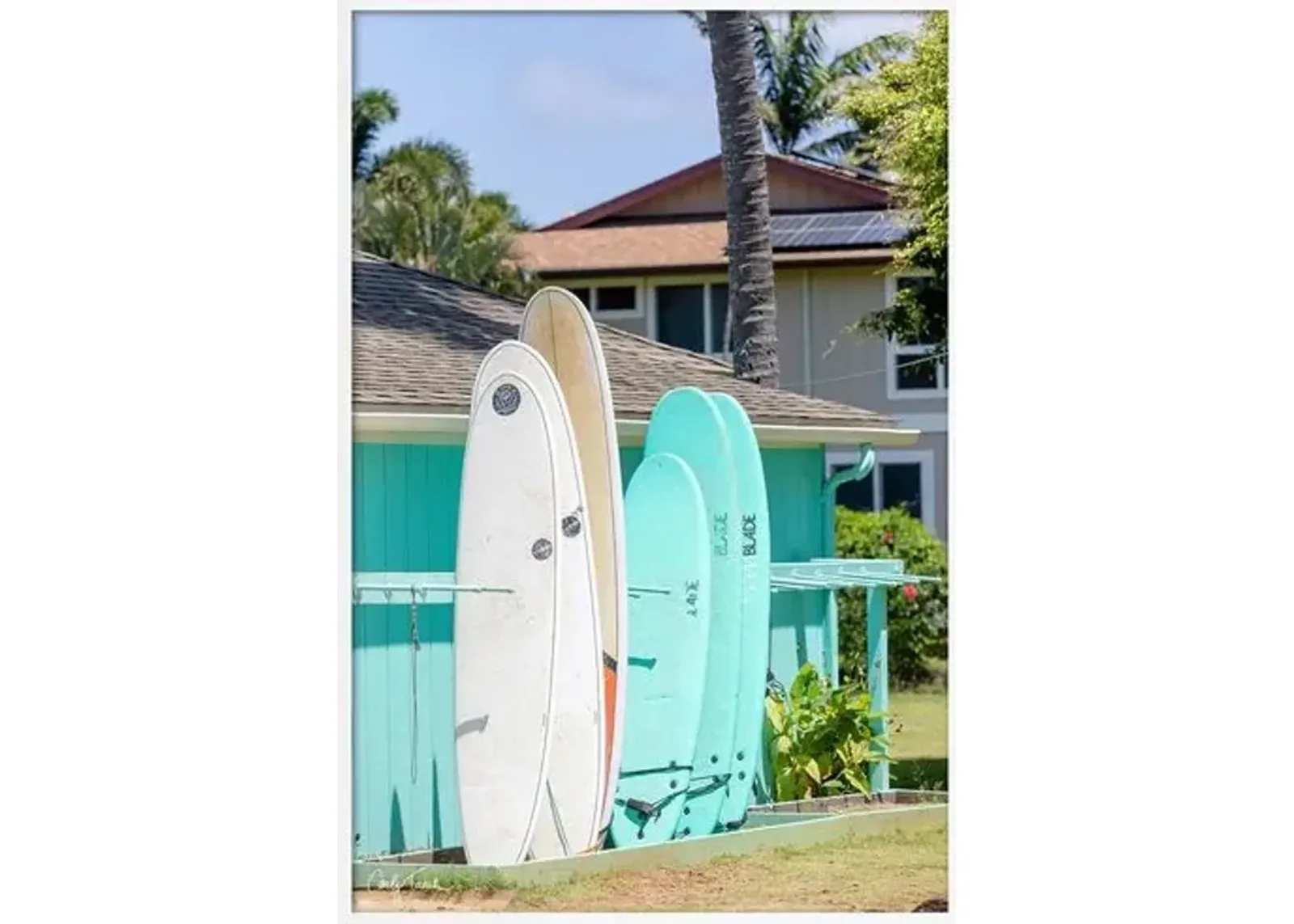 Carly Tabak - Surfboards Hawaii - White