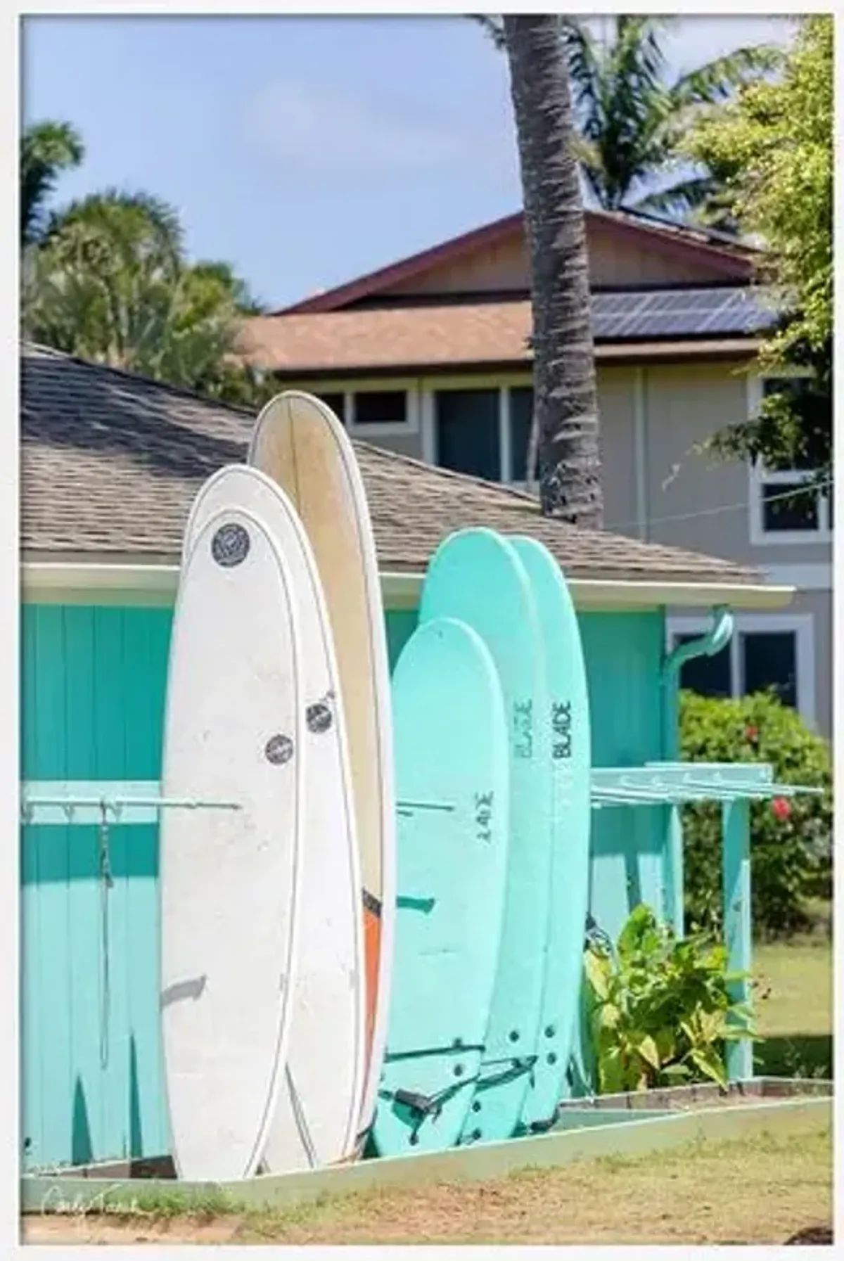 Carly Tabak - Surfboards Hawaii - White