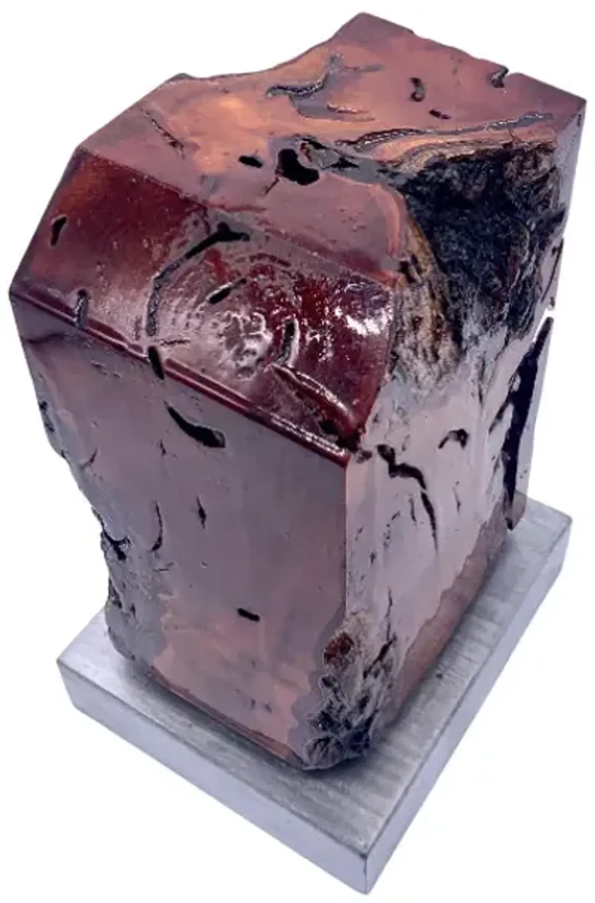 High-Gloss Knotted Wood Sculpture