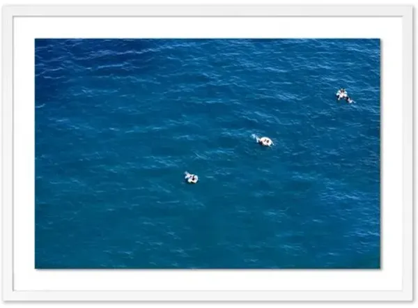 Judith Gigliotti - Peppermint Swim Photograph - White