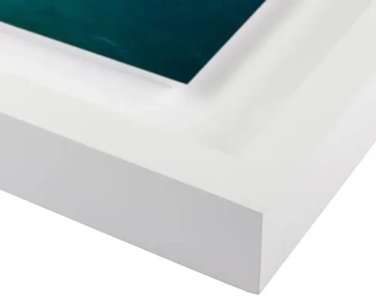 Judith Gigliotti - Rana Photograph - White