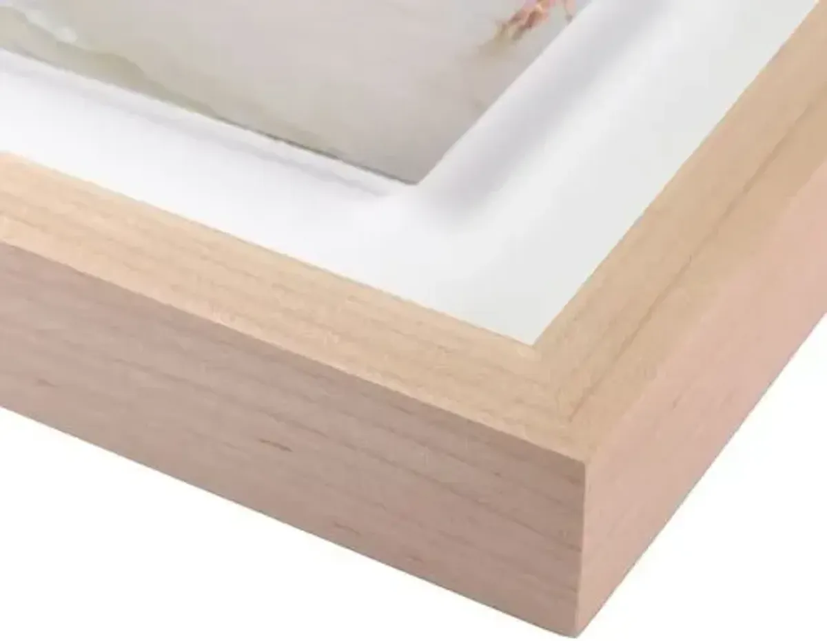 Judith Gigliotti - Come La Seta Photograph - Beige