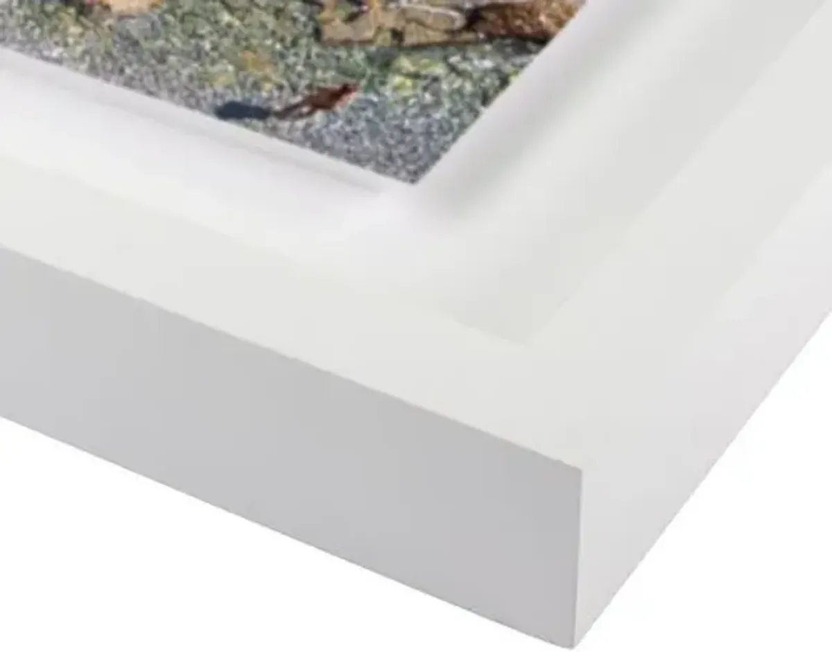 Judith Gigliotti - Kayak Giallo Photograph - White