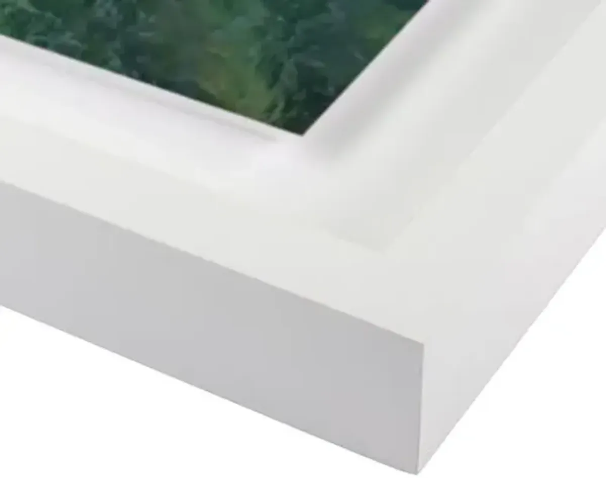 Judith Gigliotti - Tempo Photograph - White