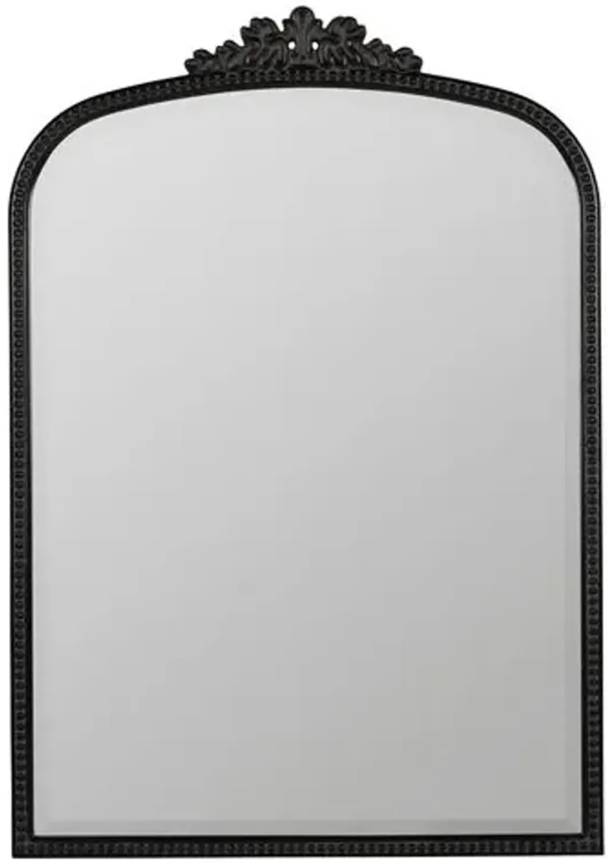 Bridgitte Ornate Wall Mirror - Antiqued Black