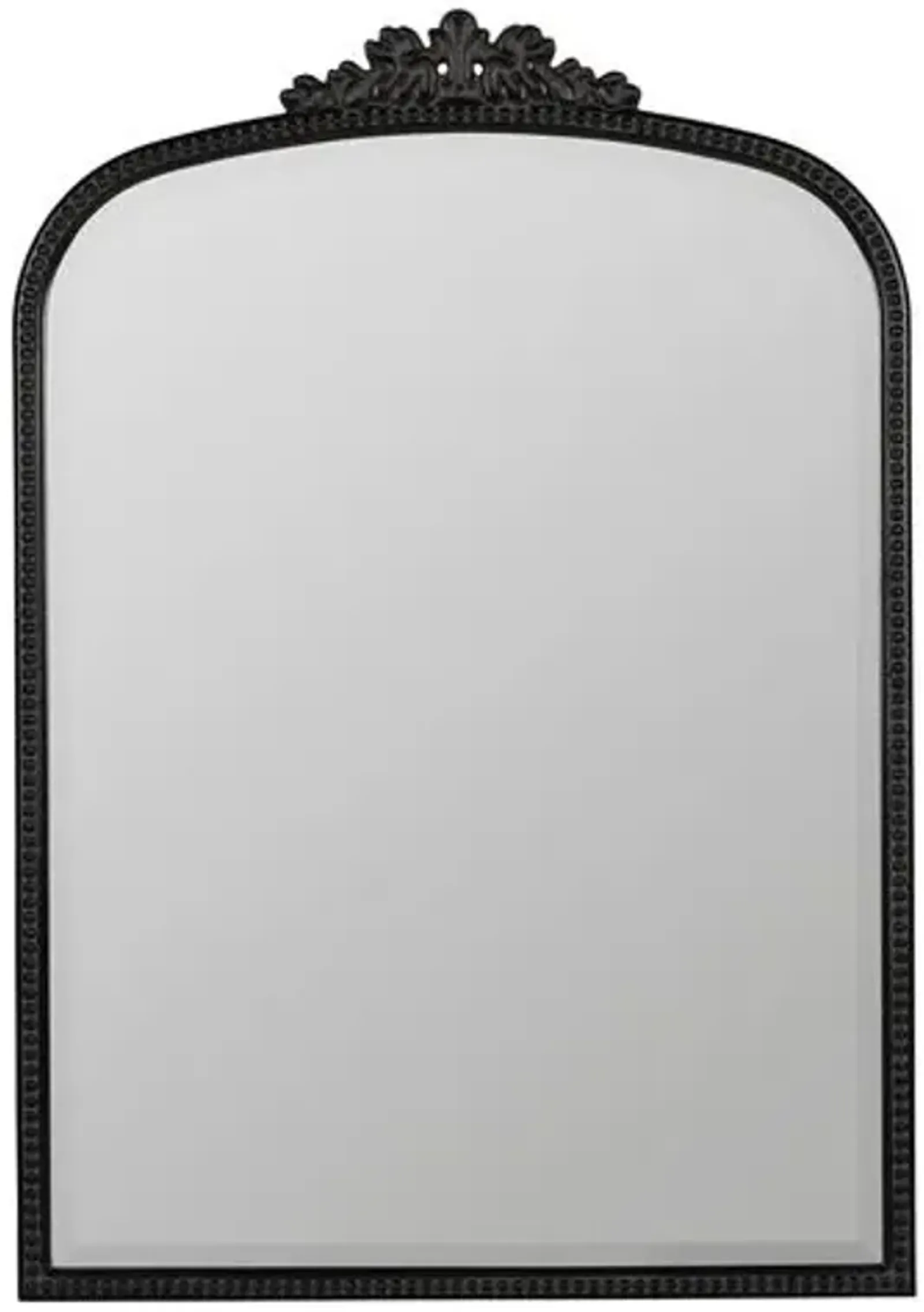 Bridgitte Ornate Wall Mirror - Antiqued Black