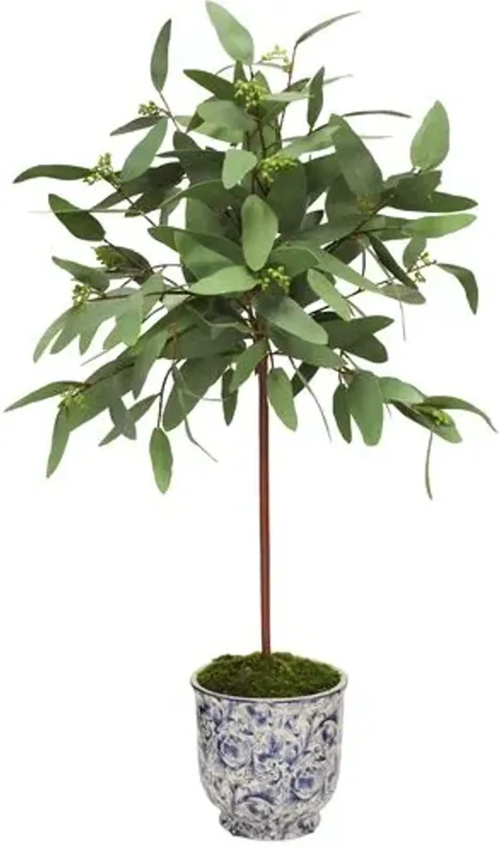 30" Long Eucalyptus in Cachepot - Handcrafted - Green