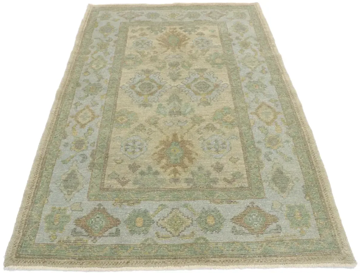 Turkish Oushak Rug - 4'00 x 6'01 - Esmaili Rugs & Antiques - Beige - Beige