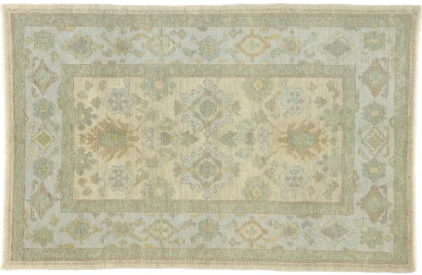 Turkish Oushak Rug - 4'00 x 6'01 - Esmaili Rugs & Antiques - Beige - Beige