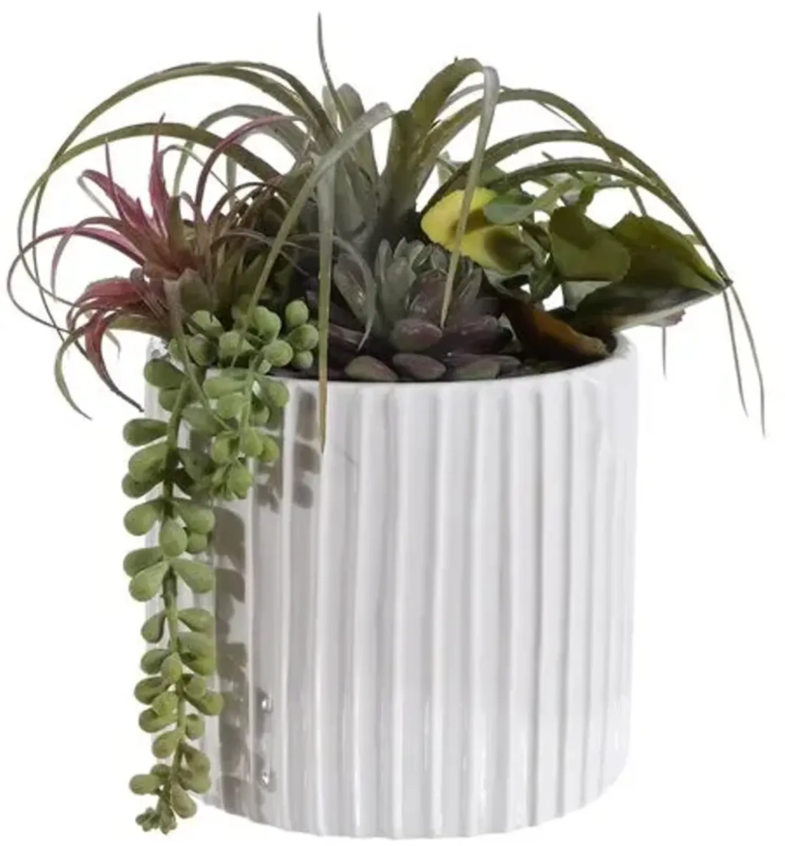 George Mixed Succulent Potted Plant - Green