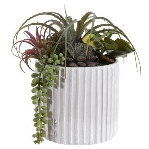 George Mixed Succulent Potted Plant - Green