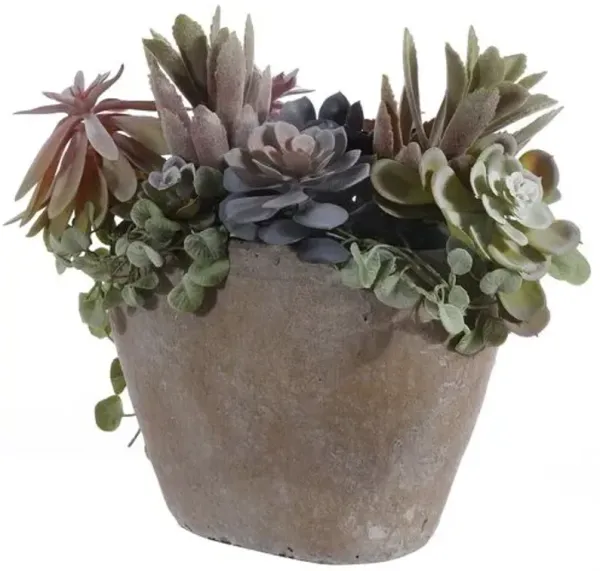 Mandy Succulent Potted Plant - Green