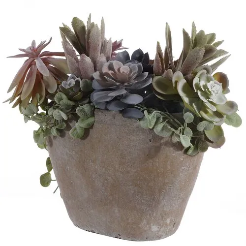 Mandy Succulent Potted Plant - Green