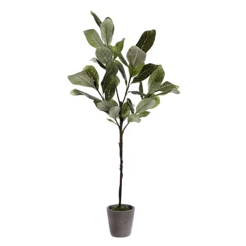 Willow Magnolia Potted Tree - Green