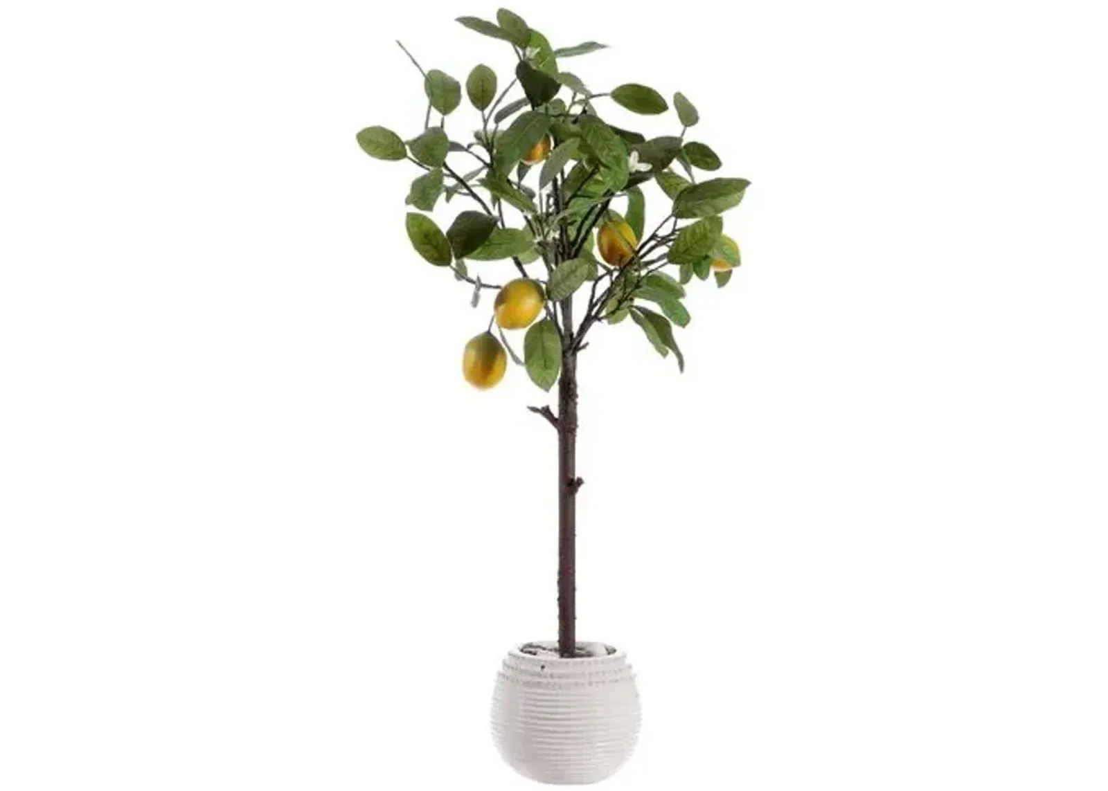 Cora Lemon Potted Tree - Green