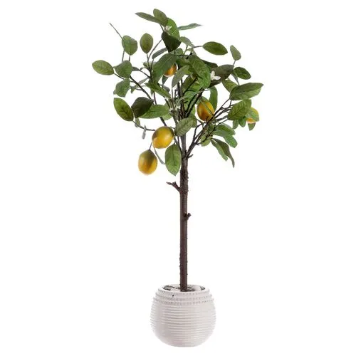 Cora Lemon Potted Tree - Green