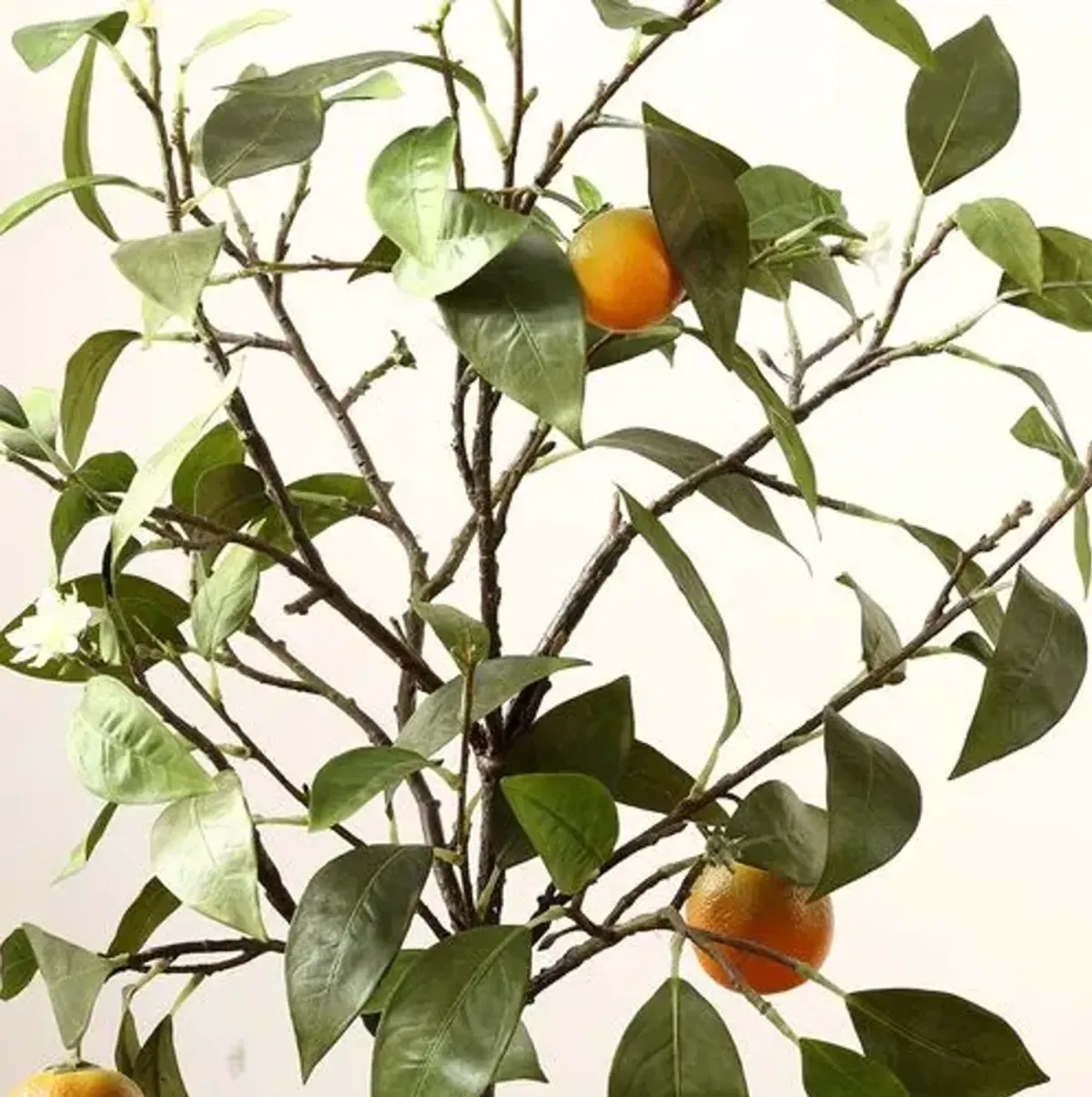 Mia Orange Potted Tree - Green