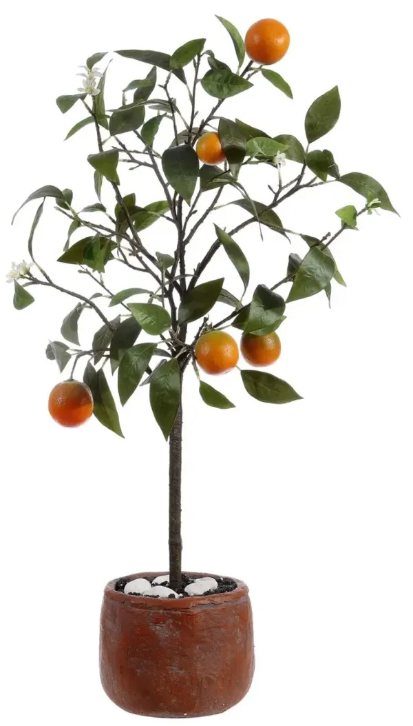 Mia Orange Potted Tree