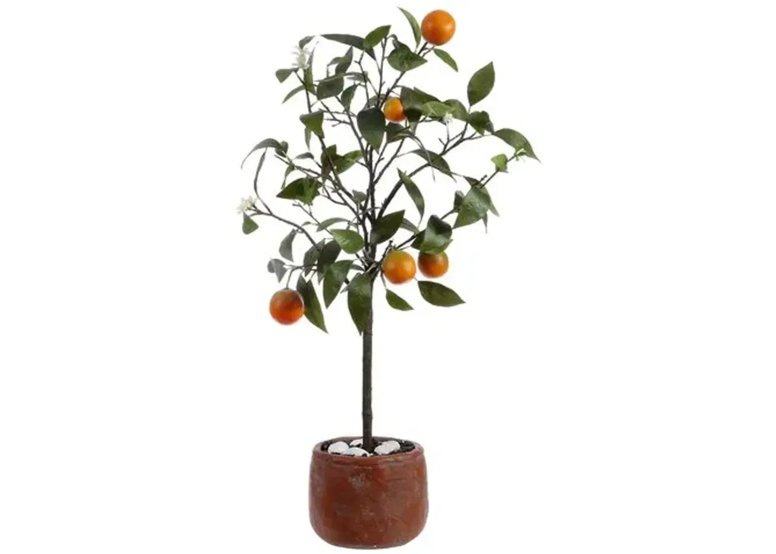 Mia Orange Potted Tree - Green