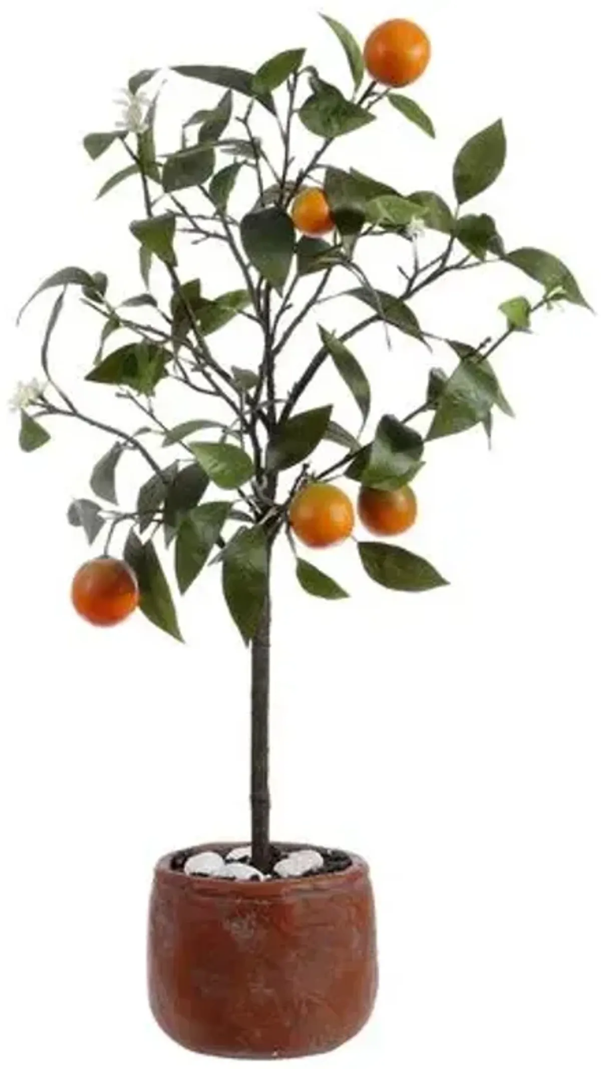 Mia Orange Potted Tree - Green