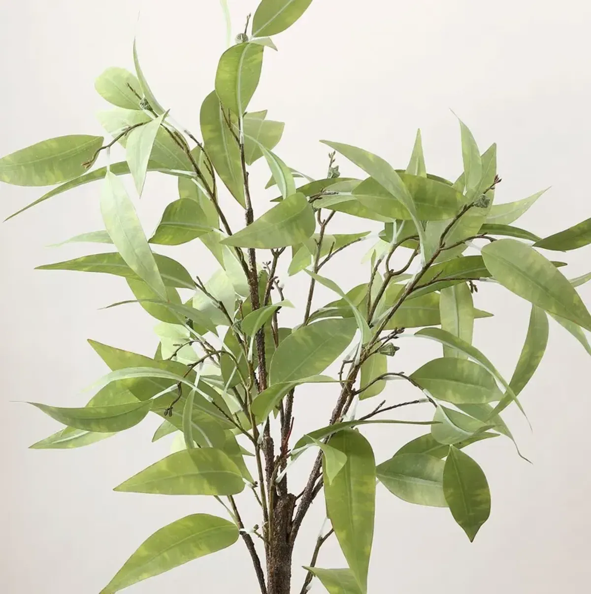 Belle Eucalyptus Potted Tree
