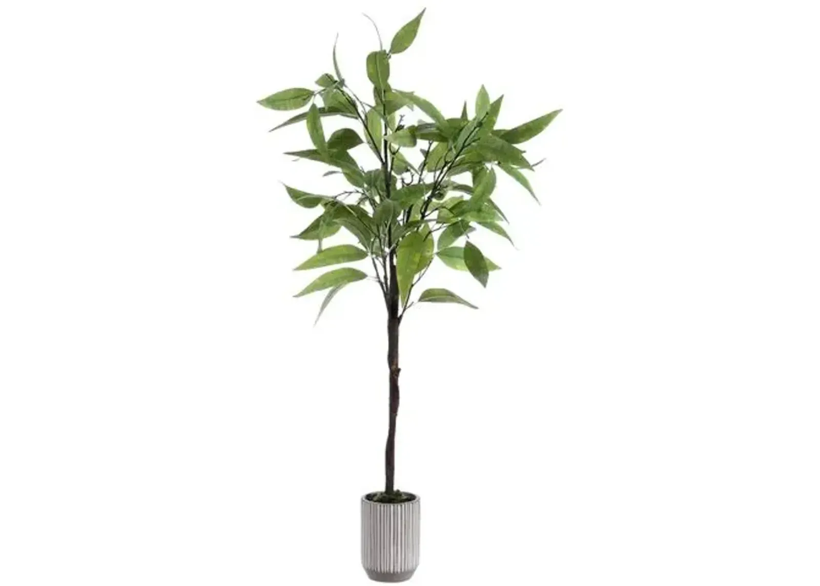 18.9x18.9x48.82 Belle Eucalyptus Potted Tree - Green