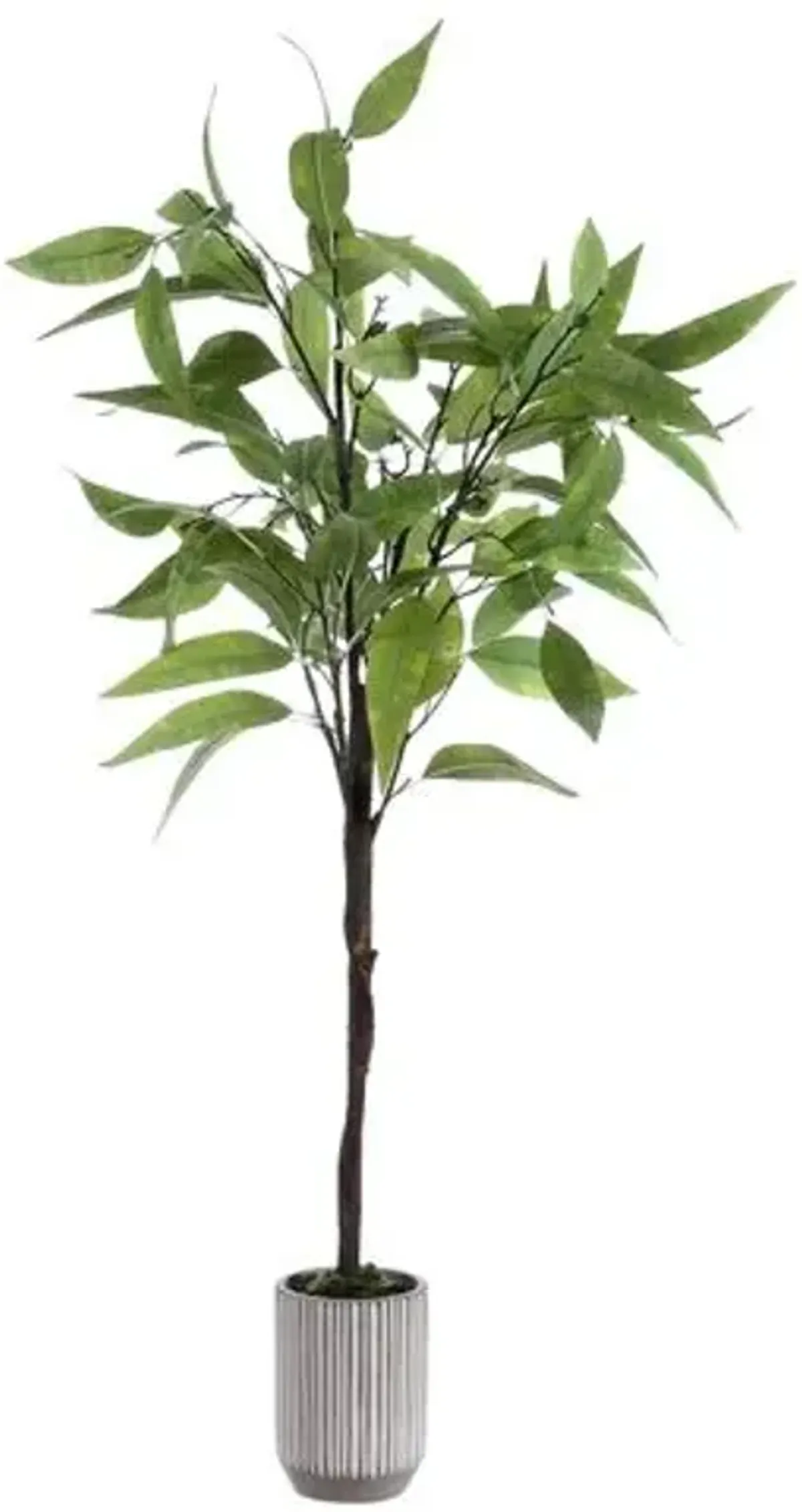 18.9x18.9x48.82 Belle Eucalyptus Potted Tree - Green