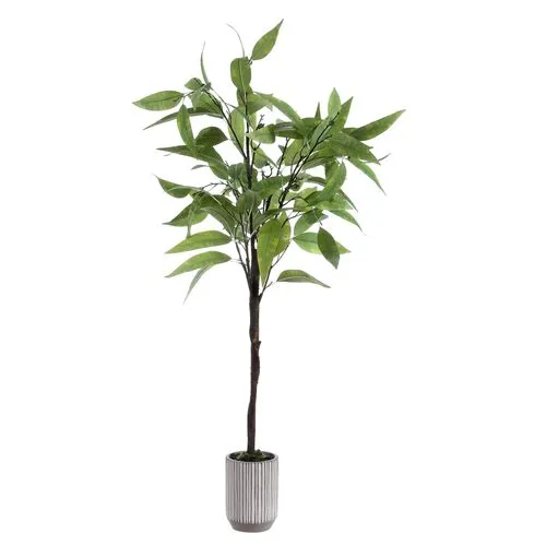 18.9x18.9x48.82 Belle Eucalyptus Potted Tree - Green