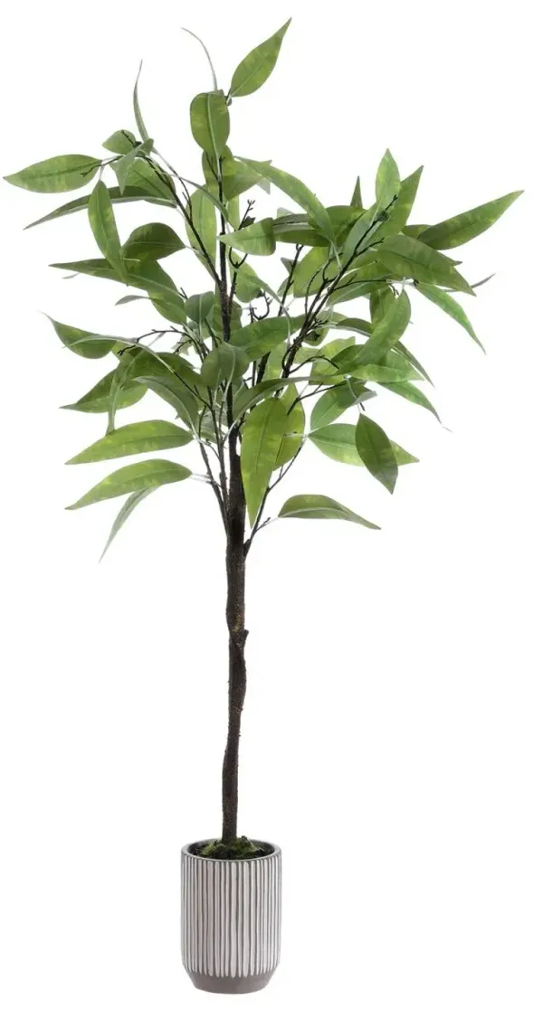 Belle Eucalyptus Potted Tree