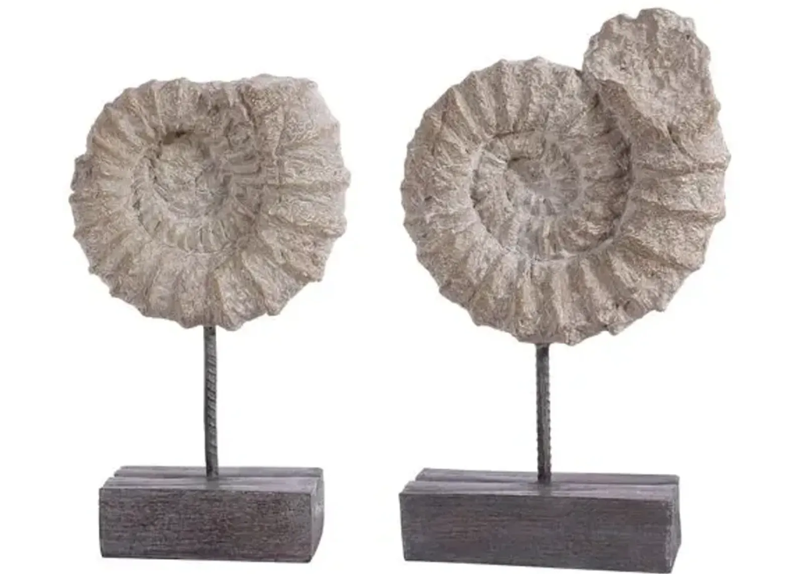 Set of 2 Jackie Ammonite Shell - Black/White - Gray